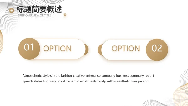 简约大气公司产品介绍宣传通用PPT
