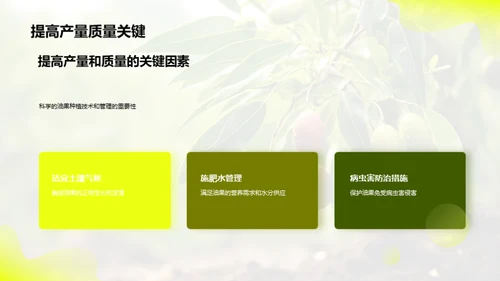 油果种植之全方位解析