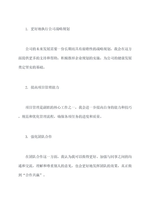 2017副职年度述职报告