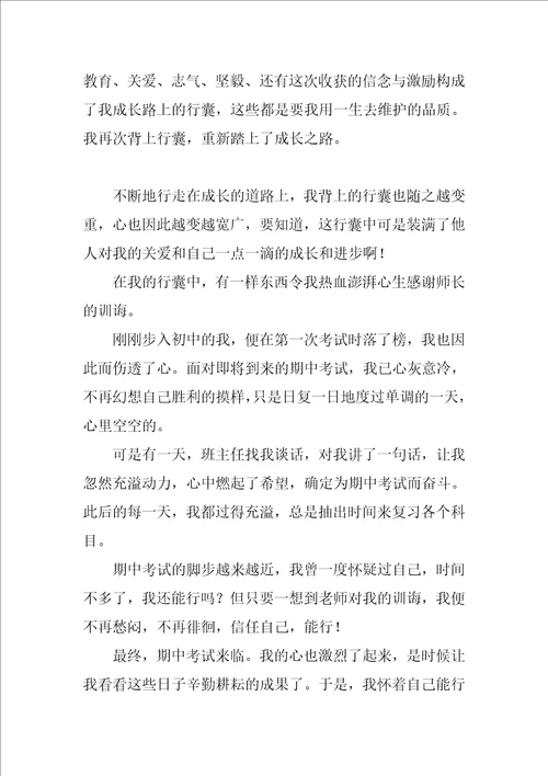 我的行囊作文