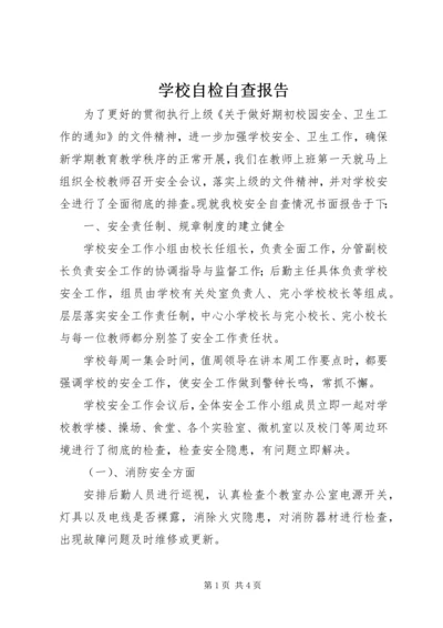 学校自检自查报告.docx