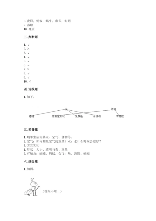 教科版一年级下册科学期末测试卷精品（黄金题型）.docx