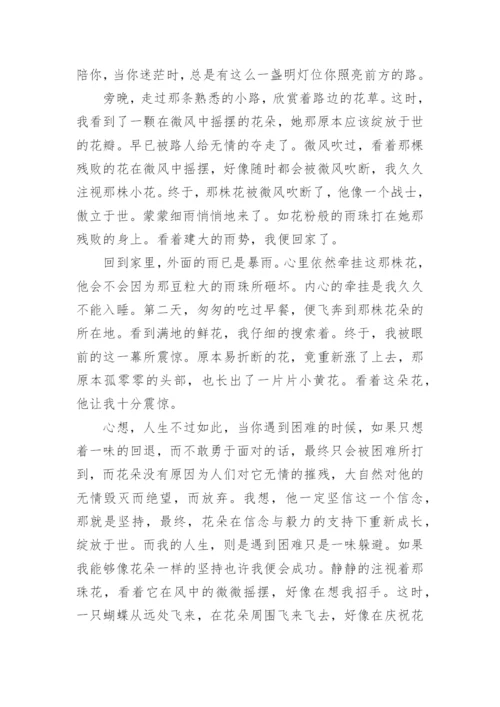 迷茫时的一盏灯作文.docx