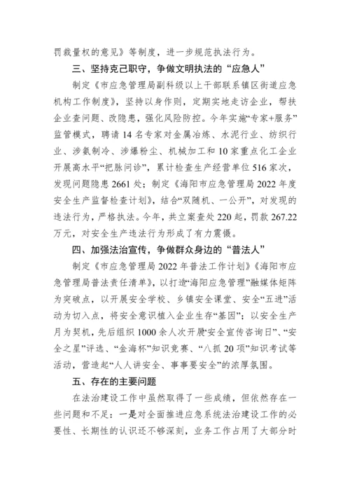 【述法报告】市应急管理局党政主要负责人2022年度述法报告.docx