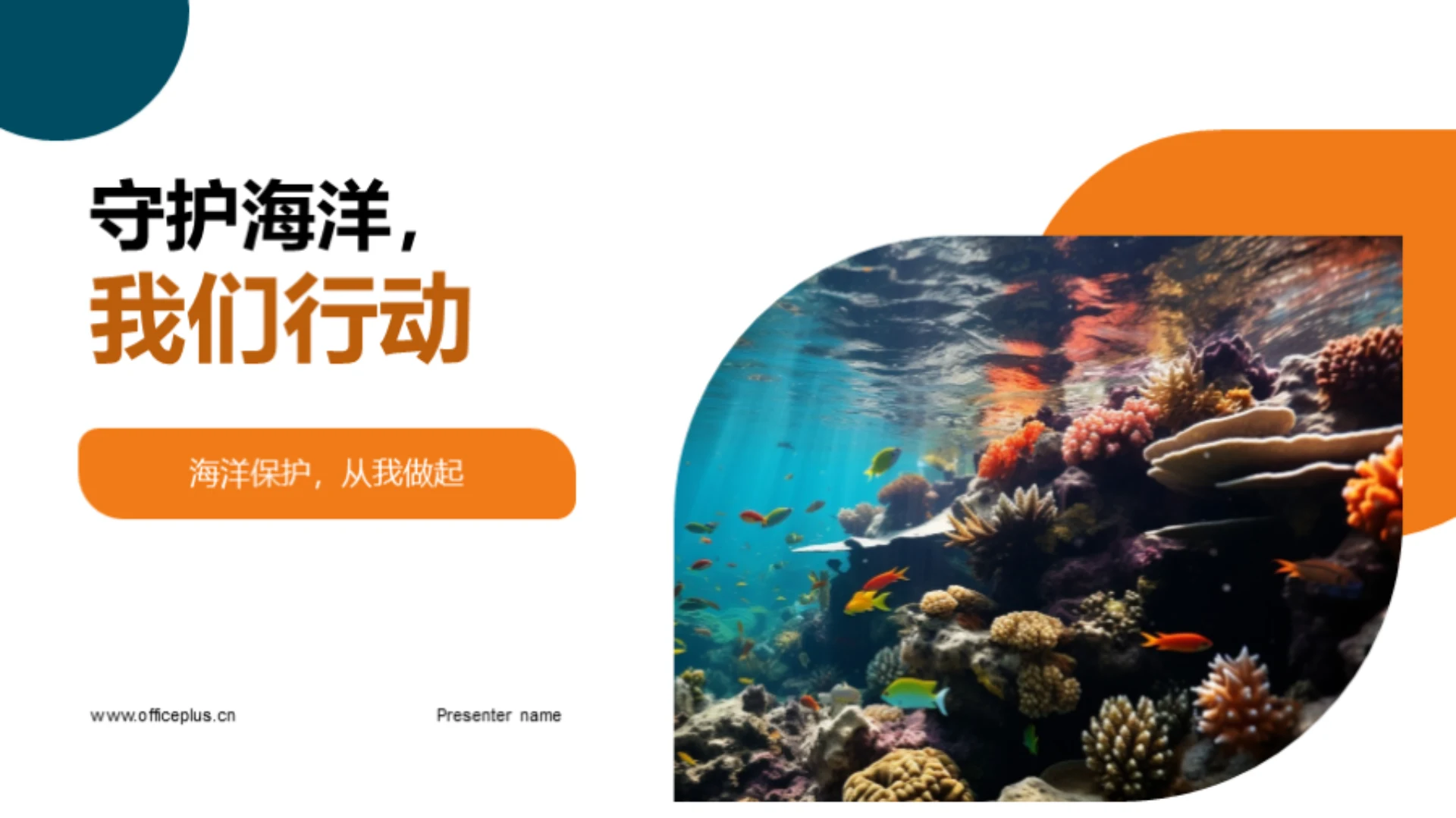 守护海洋,我们行动