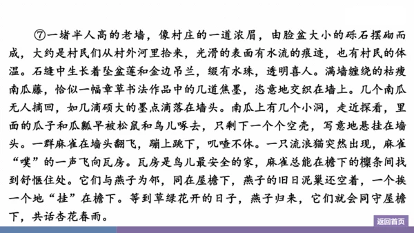 八年级上册 第四单元  群文阅读：散文“荟” 训练提升课件(共26张PPT)