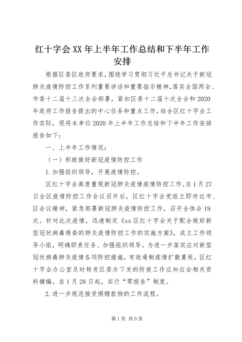 红十字会XX年上半年工作总结和下半年工作安排.docx