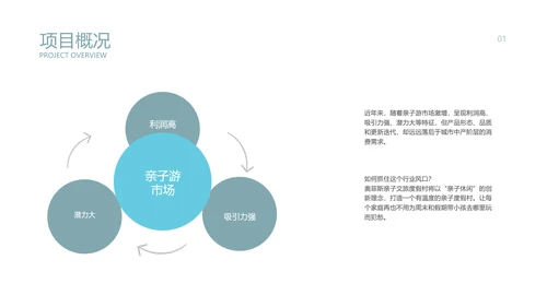 简约商务风商业计划书湖蓝