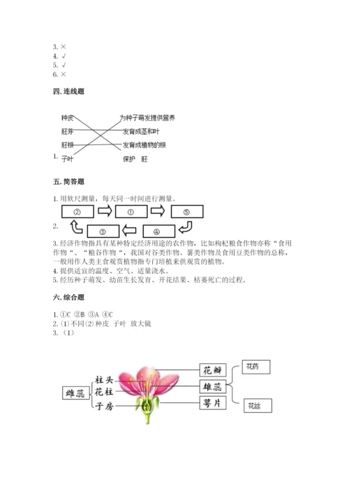 教科版四年级下册科学第一单元《植物的生长变化》测试卷精品（b卷）.docx