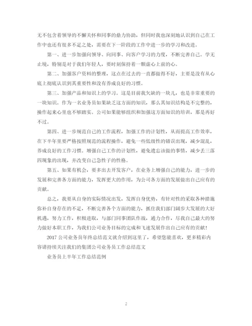 精编之公司业务员年终总结范文2.docx