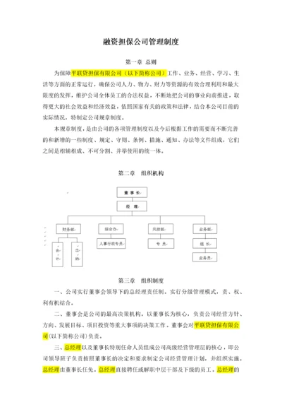 融资担保公司管理制度范本.docx