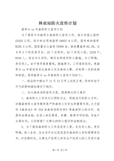 林业站防火宣传计划.docx