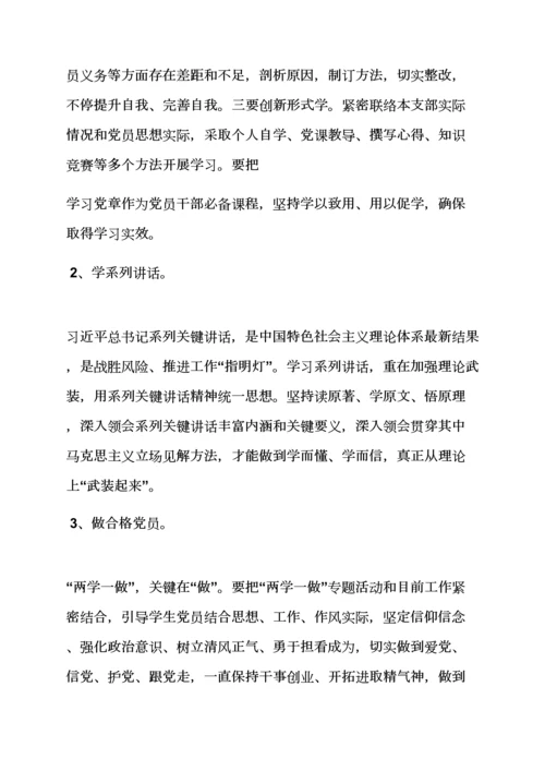 村党支部两学一做实施专项方案.docx