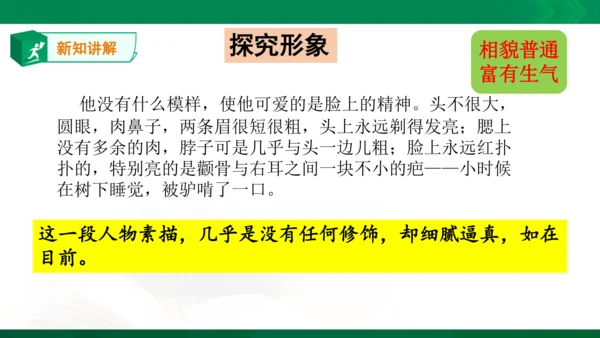 13.《人物描写一组——他像一棵挺脱的树》课件