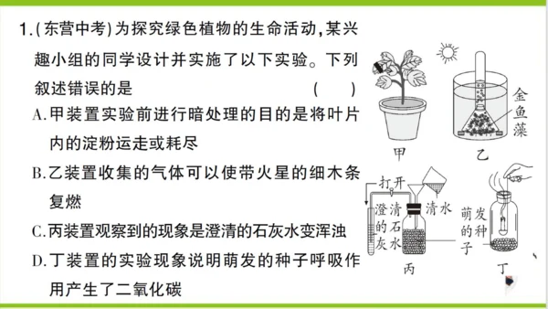 【掌控课堂-创优作业】人教版生物七(上)第三单元 第五章 绿色植物与生物圈中的碳-氧平衡 微专题六 