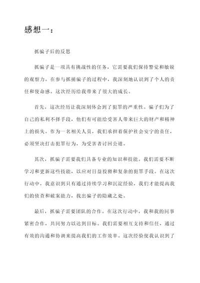 抓骗子后的感想