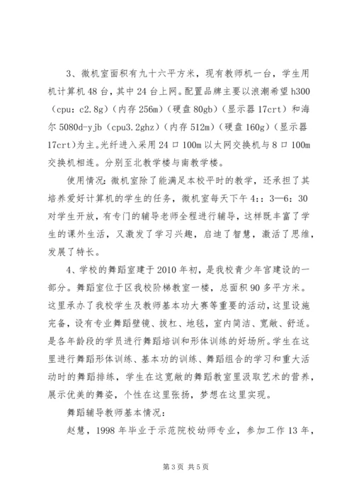 珠坑中心小学少年宫自查报告.docx