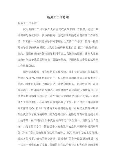 新员工工作总结.docx