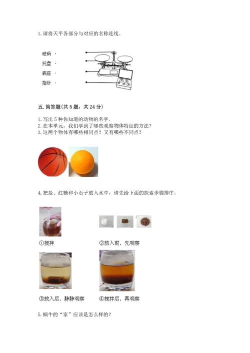 教科版一年级下册科学期末测试卷（轻巧夺冠）.docx