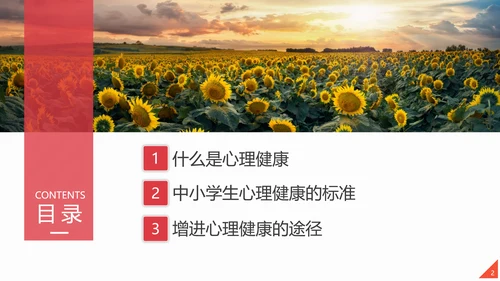 心理健康应知应会教育讲座PPT课件