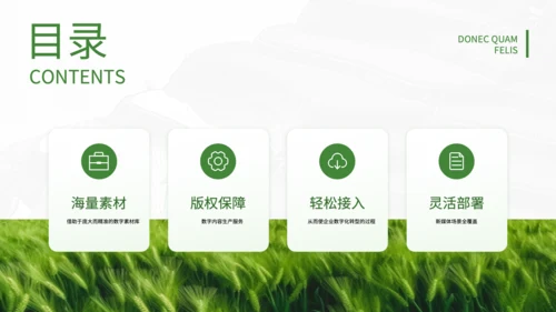 绿色简约风现代农业发展PPT