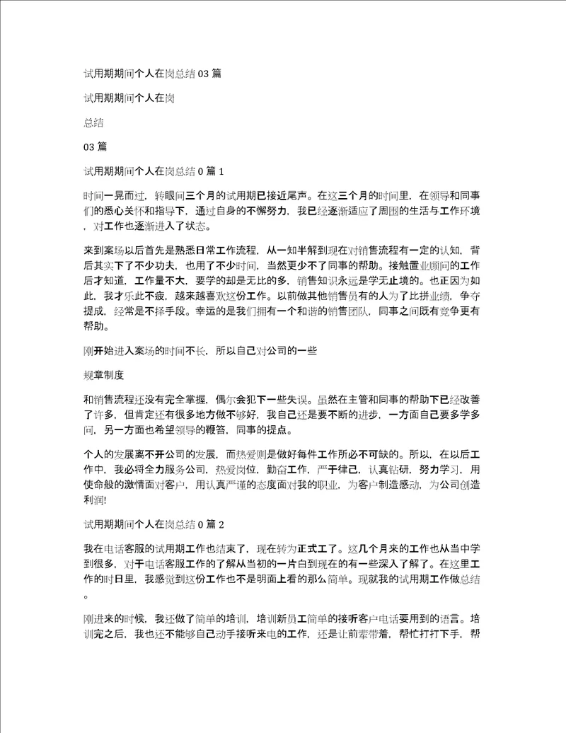 试用期期间个人在岗总结03篇