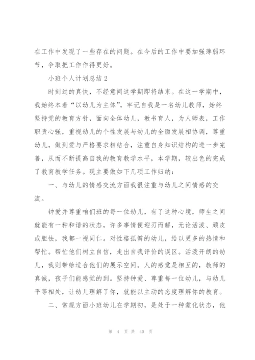 小班个人计划总结范文十篇.docx