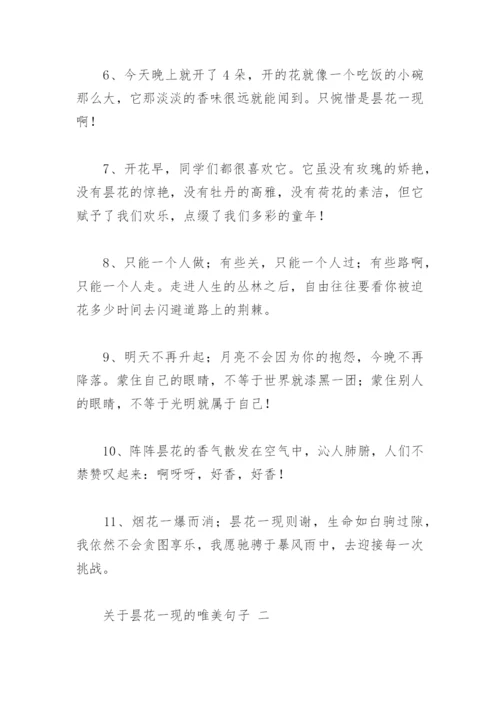 关于昙花一现的唯美句子(精选25句).docx