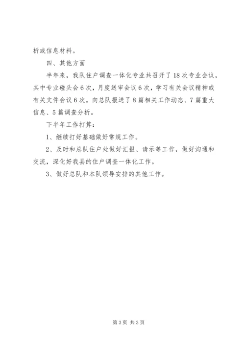 乡镇统计局年度一体化住户调查工作总结.docx