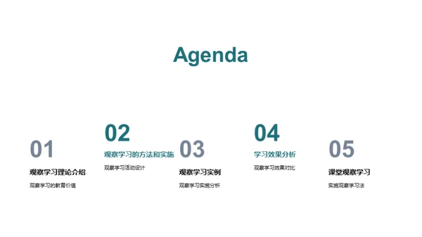深化观察学习理解