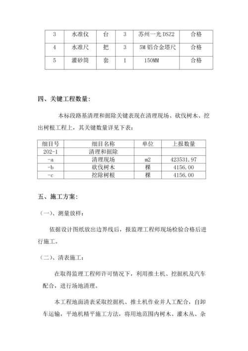 清表综合项目施工专项关键技术专项方案.docx