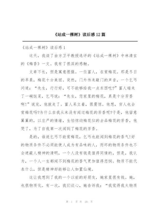《站成一棵树》读后感12篇.docx