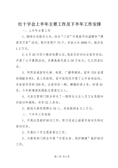 红十字会上半年主要工作及下半年工作安排.docx