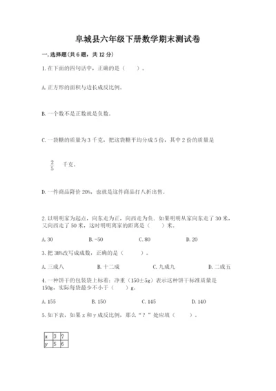 阜城县六年级下册数学期末测试卷标准卷.docx