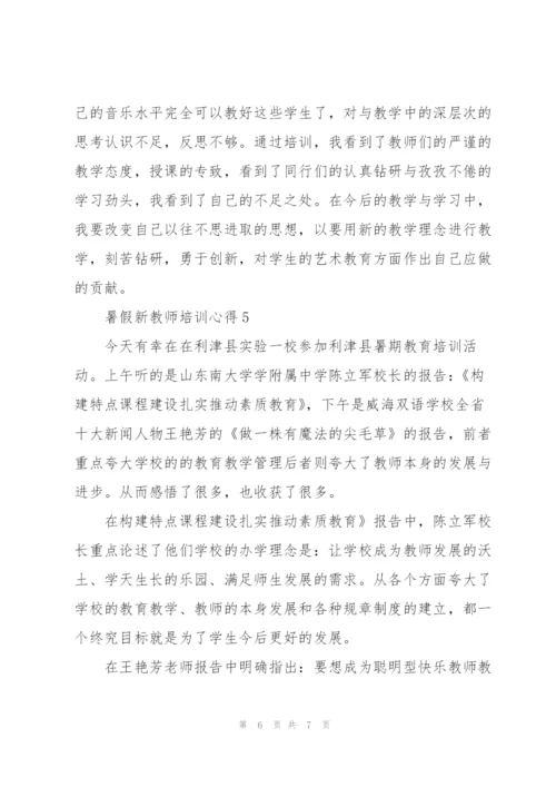 暑假新教师培训心得5篇.docx