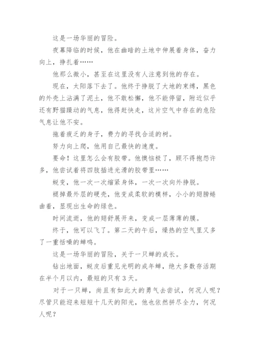勇于尝试议论文精选.docx
