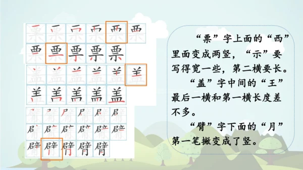 2024-2025学年统编版三年级语文上册语文园地二  课件