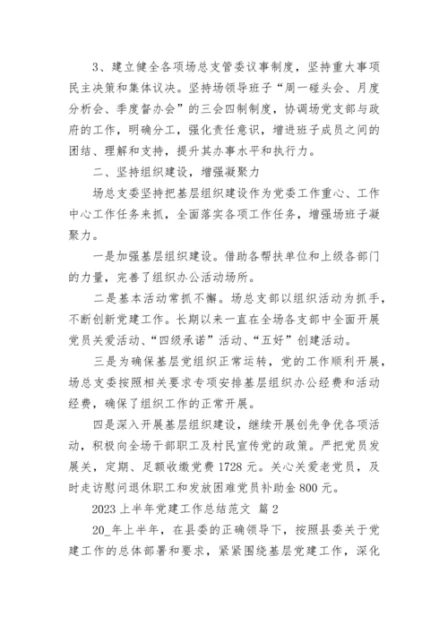 2023上半年党建工作总结范文.docx