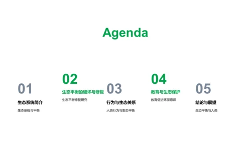 生态平衡教育讲座PPT模板