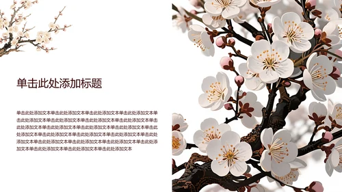 白色简约风梅花介绍PPT模板