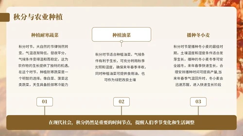 棕色卡通中国风秋分节气宣传知识PPT