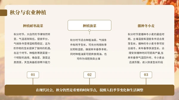 棕色卡通中国风秋分节气宣传知识PPT