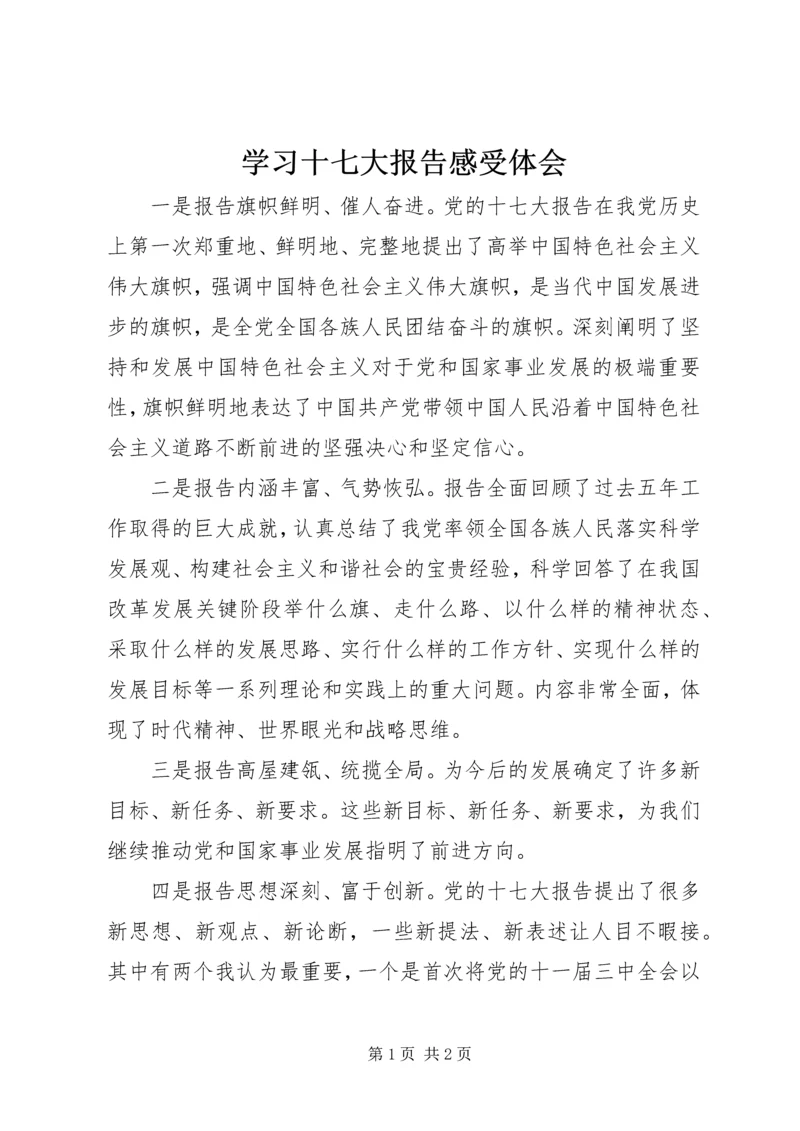 学习十七大报告感受体会.docx