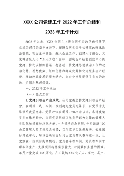 【国资国企】公司党建工作2022年工作总结和2023年工作计划.docx