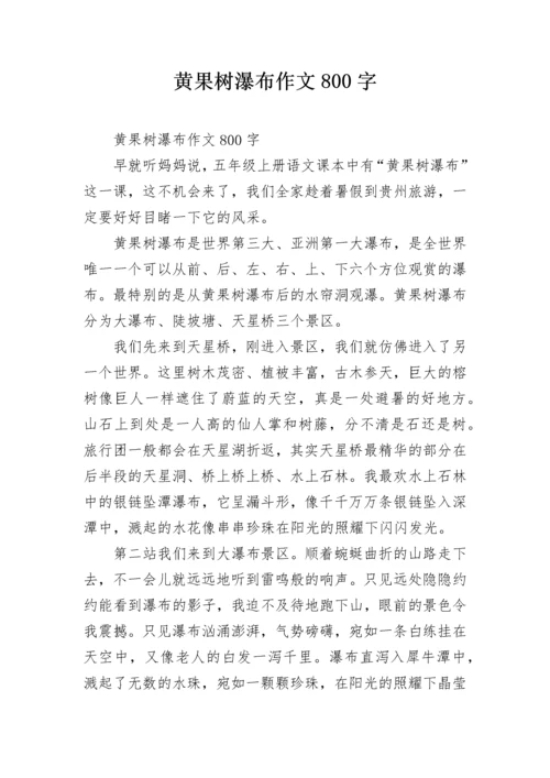 黄果树瀑布作文800字.docx