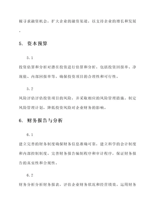 成长期企业财务管理策划案