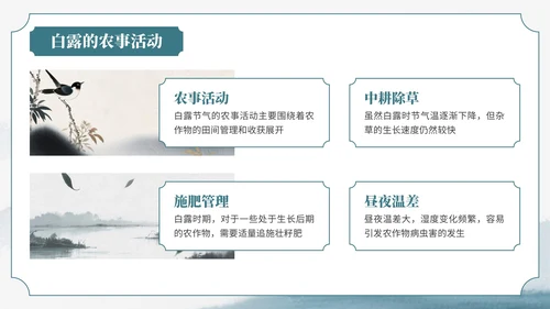 绿色中国风风格格白露节气介绍PPT模板