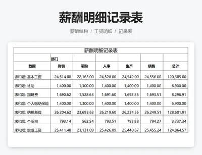 薪酬明细记录表
