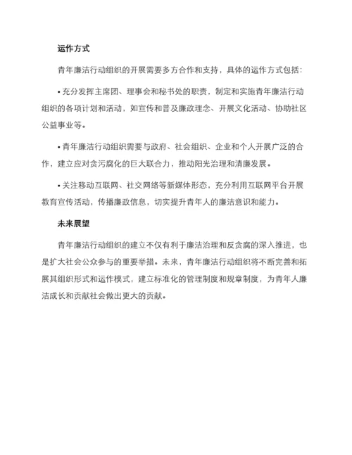 青年廉洁行动方案.docx