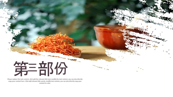 中医学养生保健医院中医文化中草药PPT